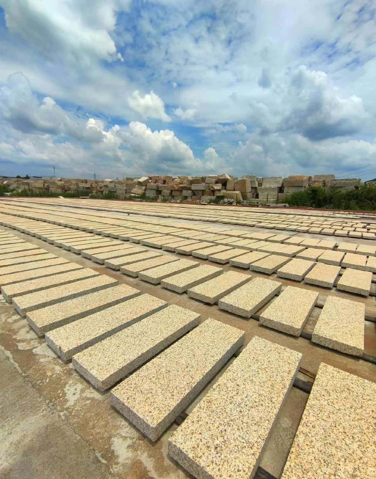 松原 黄金麻荔枝面花岗岩石材地铺石防护中